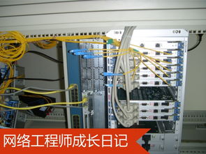 網(wǎng)絡(luò)工程師成長(zhǎng)日記402 烏審旗某采氣廠項(xiàng)目實(shí)錄