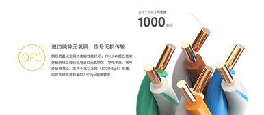 tl ec5e00 305 灰 超五類非屏蔽網絡工程線 305米 灰色