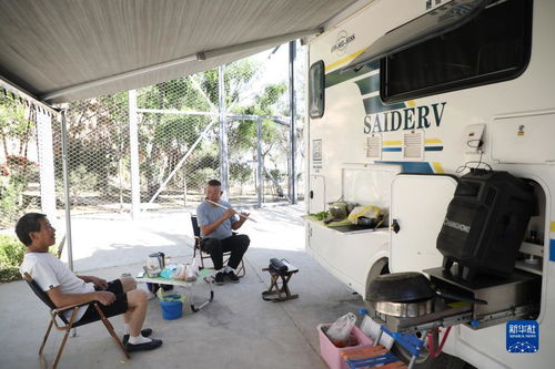 黃土坡上的綠色蝶變 生態(tài)振興激活鄉(xiāng)村休閑觀光新動(dòng)能