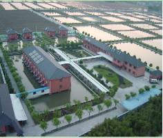 探秘杭州龔老漢休閑觀光園 一場(chǎng)親近自然的田園之旅