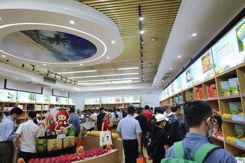 會(huì)員動(dòng)態(tài) | 東西部扶貧協(xié)作產(chǎn)品交易市場(chǎng)年度回顧暨休閑觀光活動(dòng)圓滿舉行