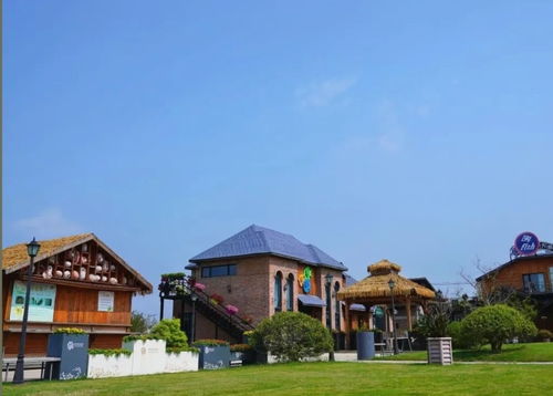 一起追風(fēng)拾野，上海9條美麗鄉(xiāng)村休閑旅游路線全新亮相